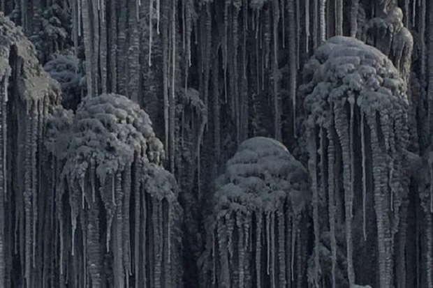 Horor, Salju Hitam Beracun Melanda Siberia