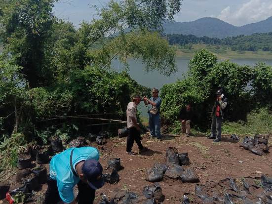 Perhutani Sisir RPH Paranggombong Antisipasi Penanaman Ganja