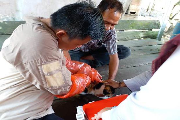 Tiga Dokter Hewan Melayani Vaksinasi Rabies Gratis Hewan Peliharaan