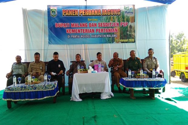 Kabupaten Malang Miliki Potensi Besar Jadi Sumber Penghasil Jagung