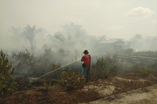 Kebun Milik Pengusaha Sagu Seluas 25 Hektare Terbakar