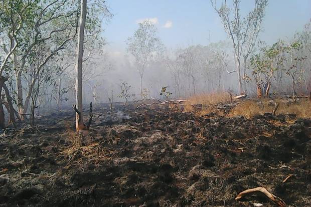 2 Pekan Prajurit Kostrad Berjibaku Padamkan Kebakaran Hutan Riau