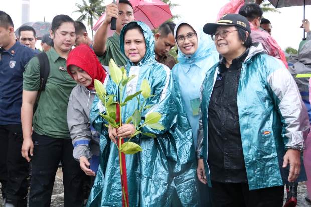 Iriana Jokowi Lakukan Penanam Mangrove Bersama Indonesia Power