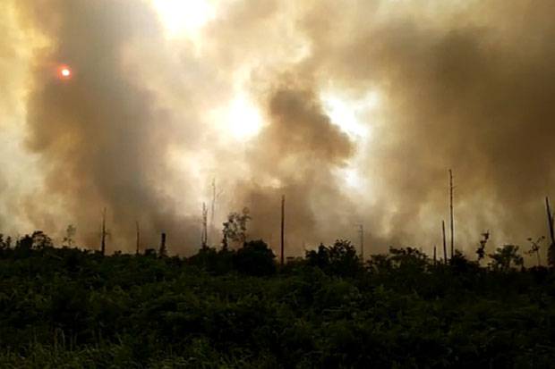 Kebakaran Meluas 1.761 Hektare Hutan dan Lahan di Riau Musnah