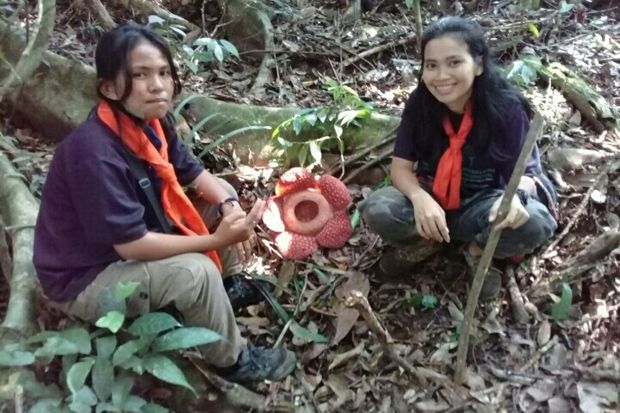 Peserta Lomba Lintas Hutan Tropis V Temukan Rafflesia di Hutan Angkola