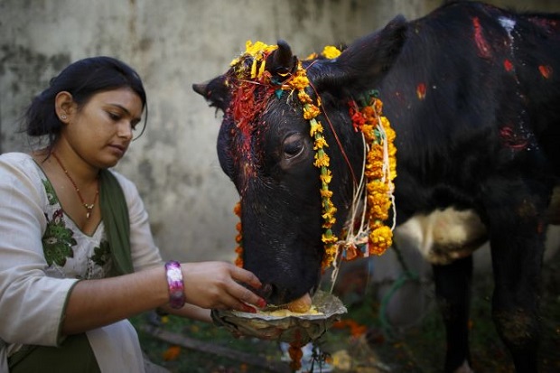 Tertipu Makan Daging Sapi, Pria Hindu Tuntut Supermarket Biayai Perjalanan ke India