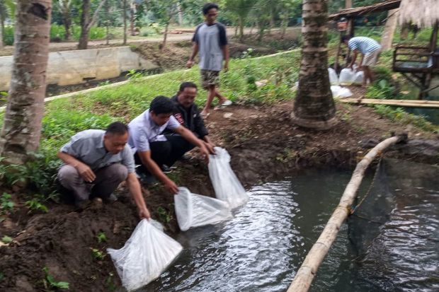 Objek Wisata Situ Cisamping Pangandaran Ditebar Ikan Koi dan Ikan Komet