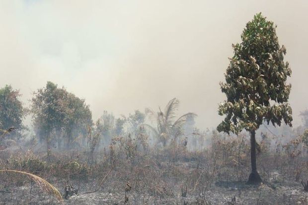 Terkendala Sumber Air, Kebakaran di Kepulauan Meranti Meluas