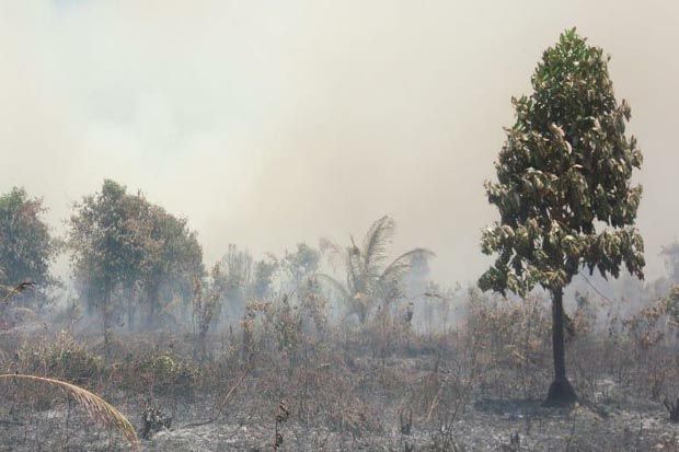 Kebakaran Meluas, Helikopter Dikerahkan di Pulau Rangsang Riau