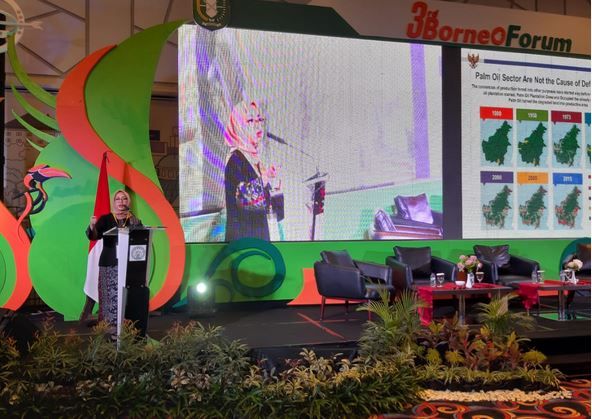 Kalimantan Sumbang 34%  Lahan Sawit di Indonesia