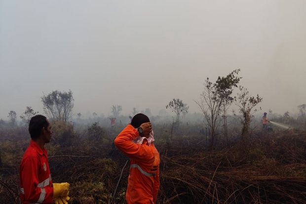 Riau Diperkirakan Kirim Asap Kebakaran Hutan ke Jambi