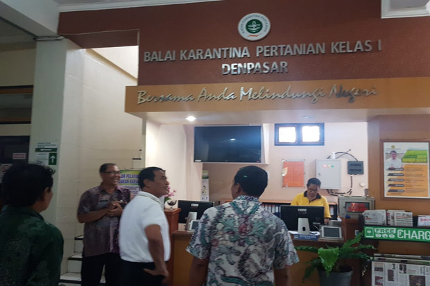 Hari Libur, Mentan Sidak Pelayanan Ekspor di Balai Karantina Denpasar