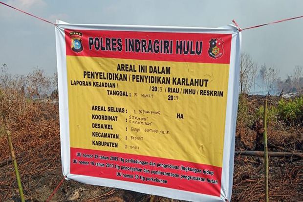 Kebakaran Hutan dan Lahan Riau, Polisi Tangkap 12 Warga