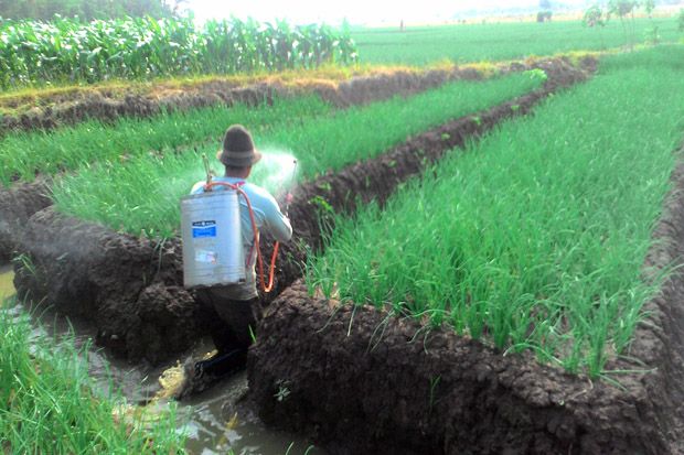 Kementan Ingin Berantas Peredaran Pestisida Ilegal di Brebes