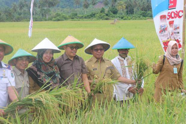 Hadiri Pesta Panen Desa Pangiang, Bupati Pasangkayu Tetapkan Agro Smart 4.0