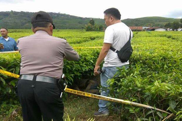 Terkait Mayat di Kebun Teh, Polisi Tunggu Tim Forensik Lakukan Autopsi
