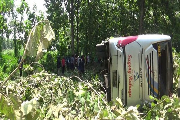Bus Sugeng Rahayu Nyelonong ke Hutan Jati, 14 Orang Terluka