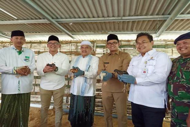 Pesantren Kembangkan Pertanian melalui KSTM di Bangkalan