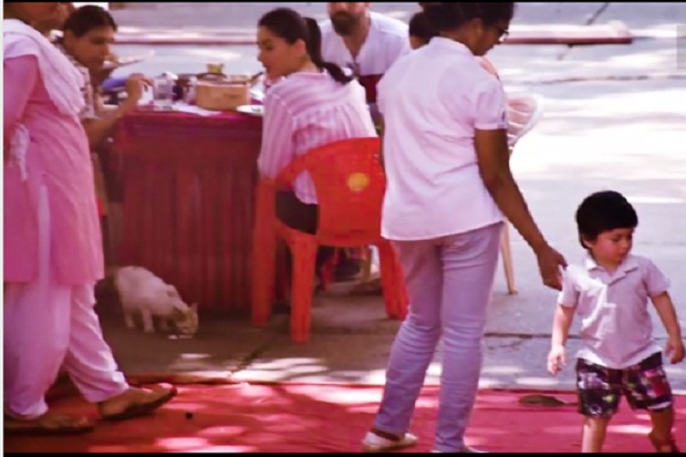 Nikmati Makan Siang, Kareena Kapoor Sisihkan Makanan untuk Kucing