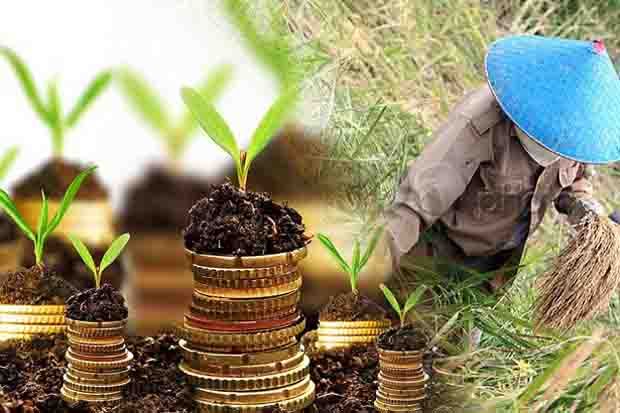 Pacu Pertanian Sulsel, Kementan Siapkan Anggaran Rp600 Miliar