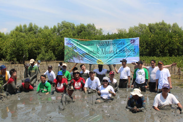 Kurangi Dampak Abrasi Laut, Agung Sedayu Group Tanam 1.000 Mangrove