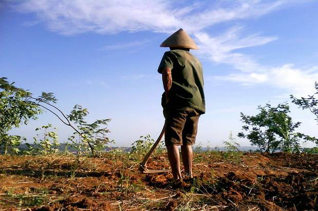 Kementan Imbau Petani Mewaspadai Datangnya El Nino