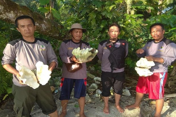Lembaga Adat Pulau Enggano Tolak Eksploitasi Kerang Kima