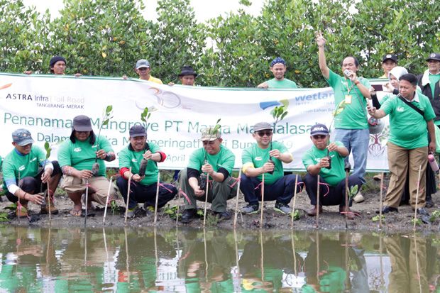 Cegah Abrasi, Astra Tol Tanam 3.000 Pohon Mangrove di Pesisir Banten Utara