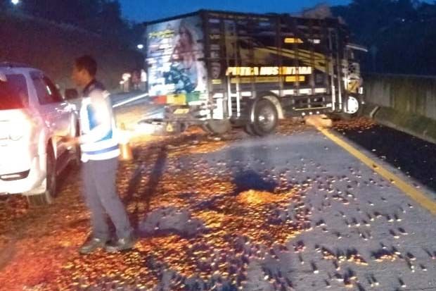 Truk Hantam Tangki di Jalan Tol Semarang-Solo, 1 Tewas