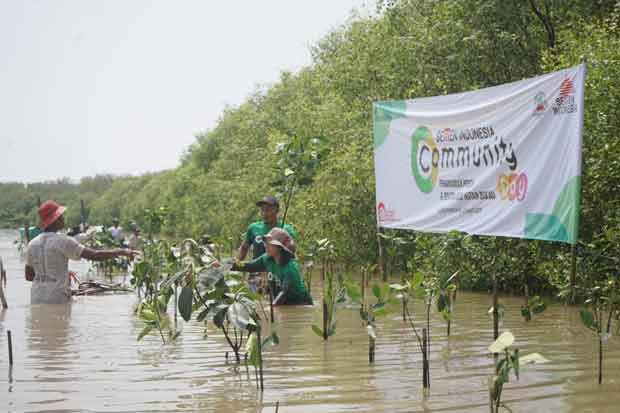 Peringati Hari Bumi 2019, PT Semen Indonesia Tanam 1.000 Mangrove