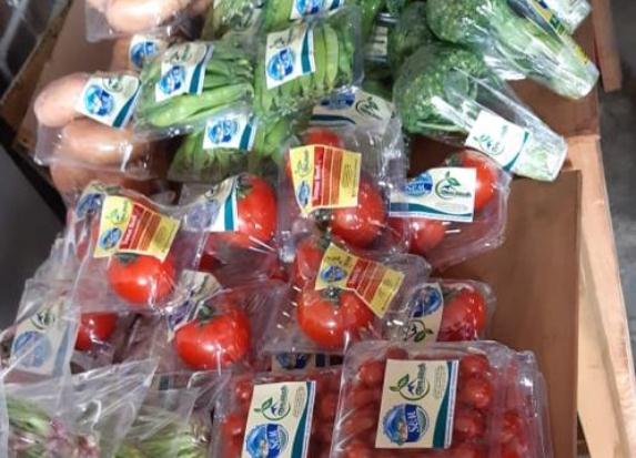 Sayuran Organik dari Semarang Diekspor ke Singapura