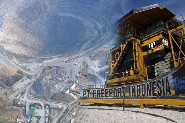 Baru Capai 3,86%, Smelter PT FI Diproyeksikan Rampung Akhir 2022