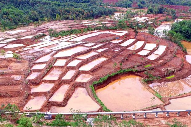 Tahun 2019, Kementan Targetkan Cetak Sawah Baru 6.000 Hektar