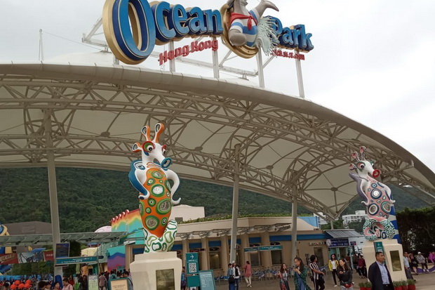 Rasakan Pengalaman Rekreasi sambil Belajar di Ocean Park Hong Kong