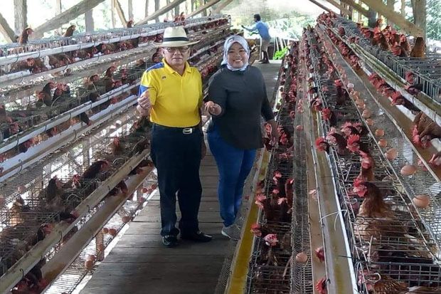 Bupati Kobar Nurhidayah Dorong Pengembangan Peternakan Ayam Petelur