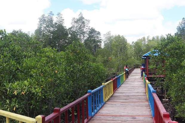 Gelontorkan DAK Pariwisata, Kemenpar Bangun Taman Wisata Mangrove di Papua