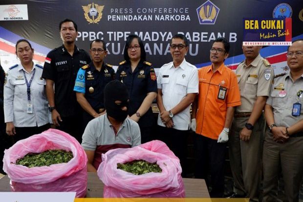 Bea Cukai dan Ditres Narkoba Polda Sumut Gagalkan Penyelundupan 16 Kg Daun Khat