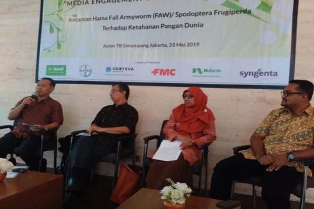 Mulai Masuk Indonesia, Hama Ulat FAW Rugikan Petani Kecil