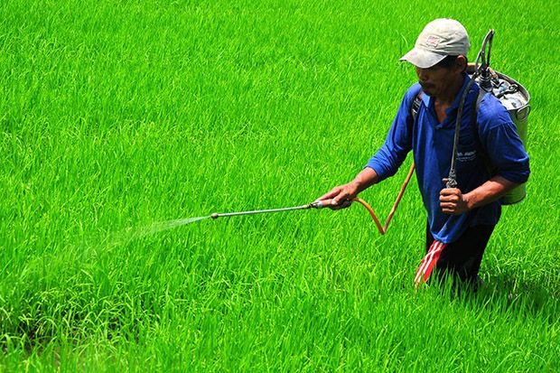 Petani Diminta Konsultasi ke Penyuluh untuk Menghindari Pestisida Palsu