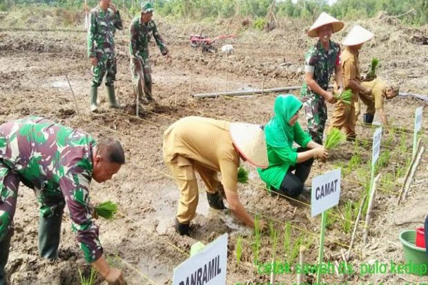 Kementan-TNI Cetak Sawah Baru 200 Hektar di Aceh Besar
