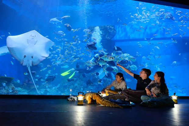 Jakarta Aquarium, Pusat Rekreasi dan Pendidikan di Jakarta