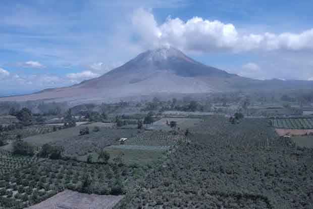 Pasca-Erupsi Sinabung, 10.053 Hektare Lahan Pertanian Terpapar Abu Vulkanik