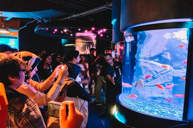 Koleksi Terbaru Hewan Unik dan Aneh di Jakarta Aquarium