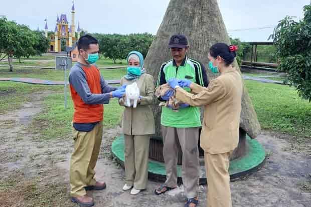 Petugas DPKH Kobar Periksa Kesehatan Hewan di Taman Wisata Agro Kelinci
