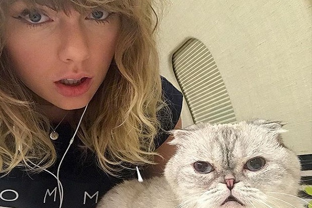 Taylor Swift Jadikan Kucing Kesayangannya Merek Dagang