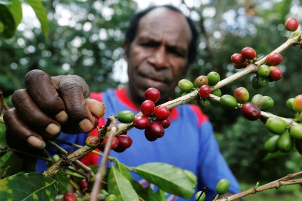Ditjen PSP Bahas Pengembangan Sumber Daya Pertanian untuk Trans Papua