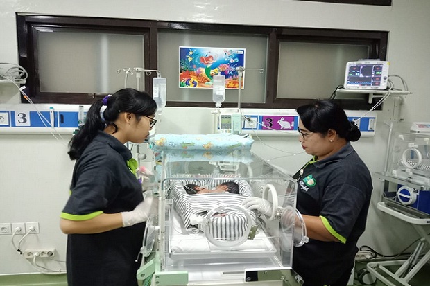 Bayi Kembar Siam Dempet Dada-Perut di Bali Tunggu Operasi Pemisahan