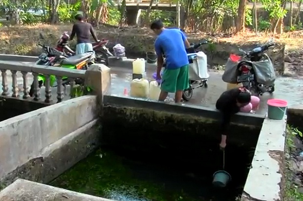 Kekeringan, Warga di Cirebon Konsumsi Air Kolam Berlumut