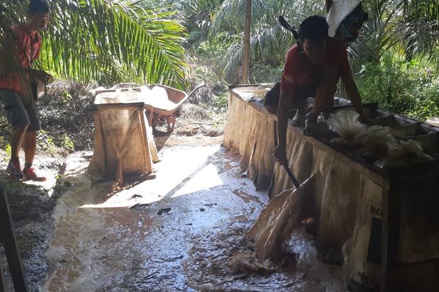 Satpol PP Kobar Gerebek Pabrik Miras di Tengah Kebun Sawit