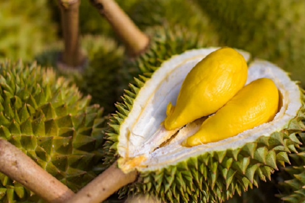 Bolehkah Ibu Hamil Makan Durian?